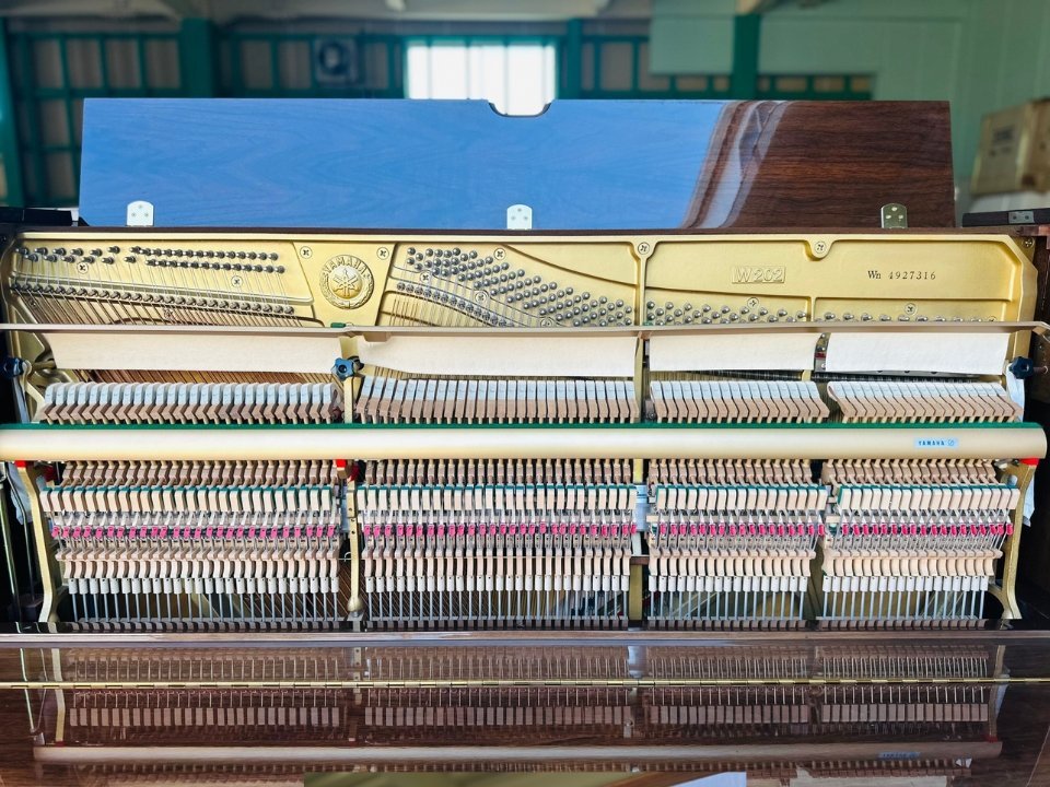 YAMAHA W202 Wn - Ảnh thực tế 8